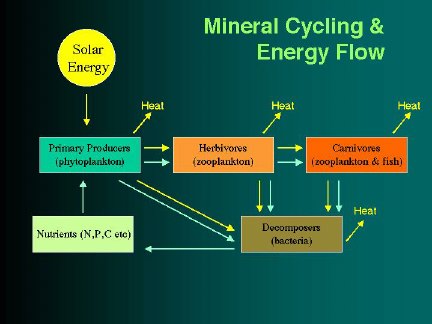 shop recent advs in grp theory and low